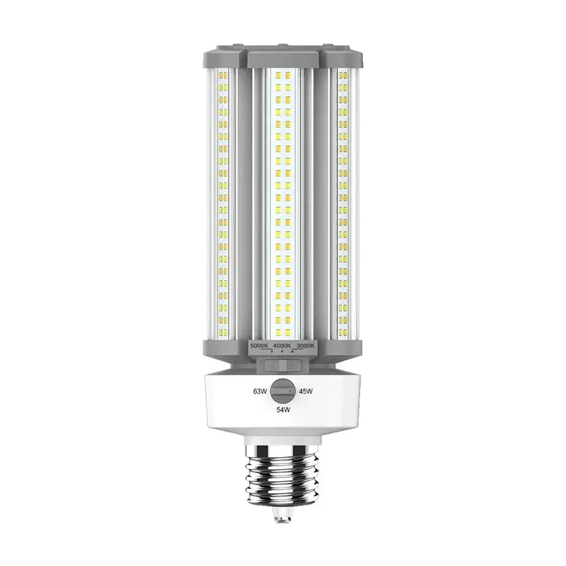 beeslighting12452317