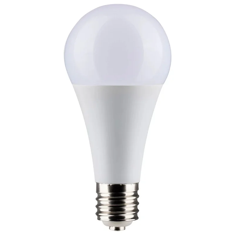 beeslighting12452796