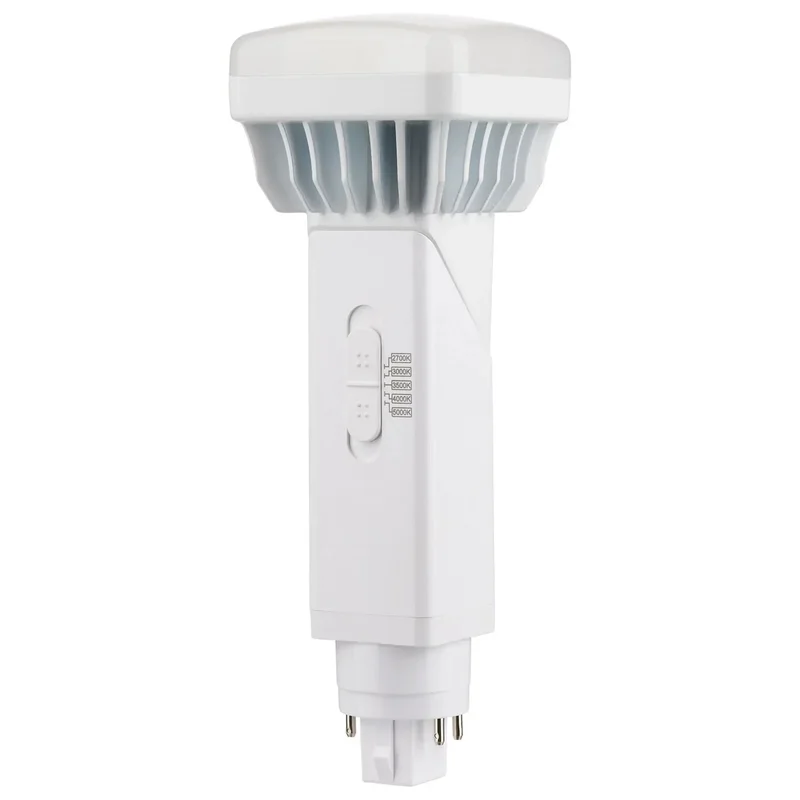 beeslighting12453396