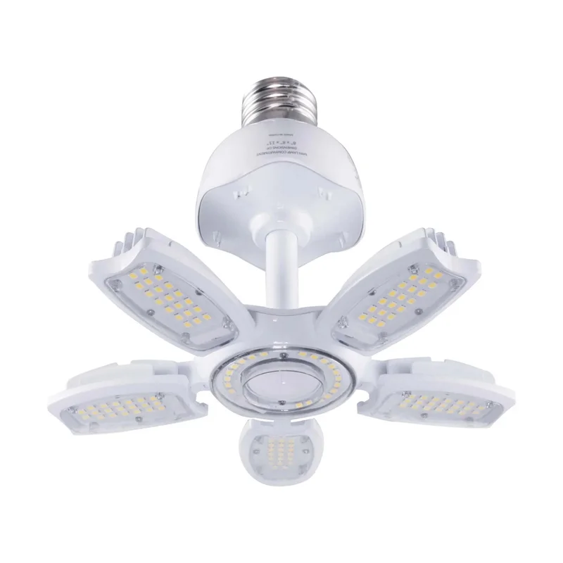 beeslighting12453889