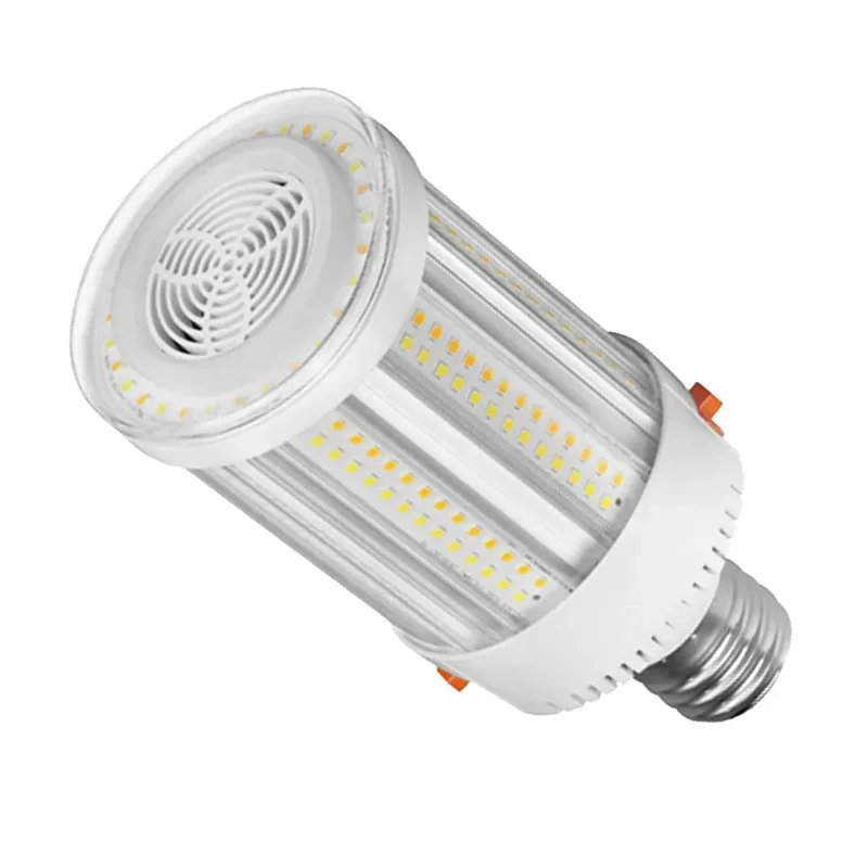 beeslighting12454577