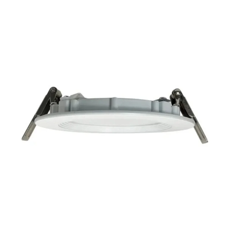 beeslighting12454807