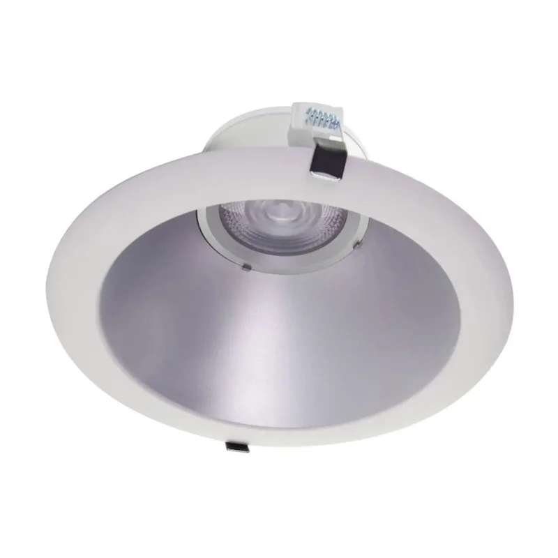 beeslighting12454898