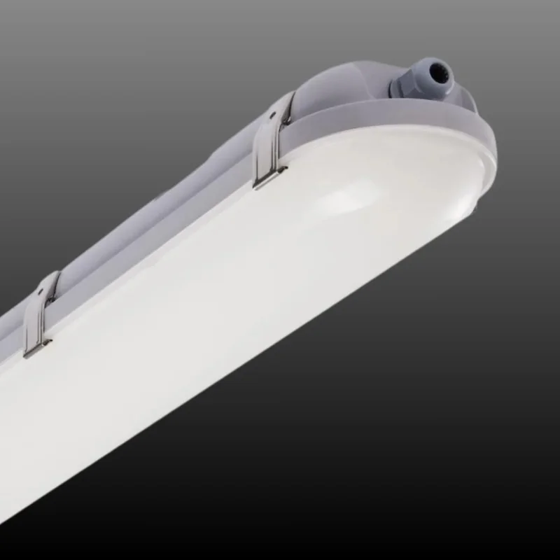 beeslighting12455356