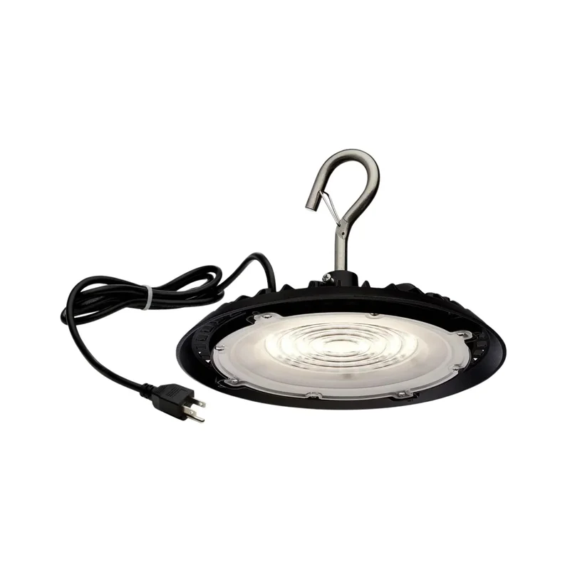 beeslighting12455391