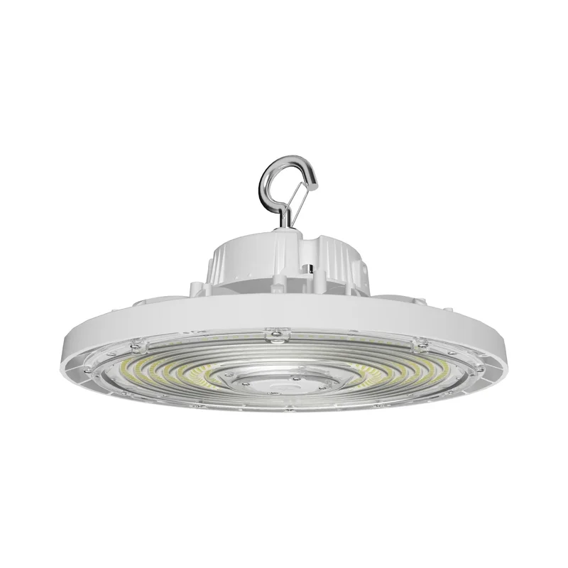 beeslighting12455575