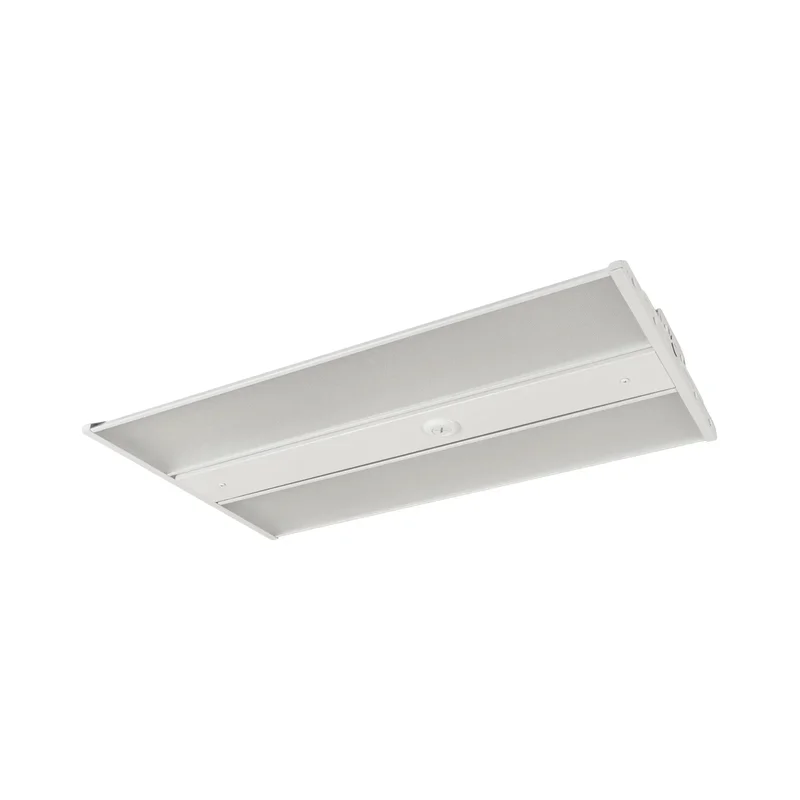 beeslighting12455650