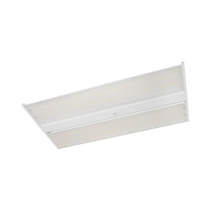 beeslighting12455678