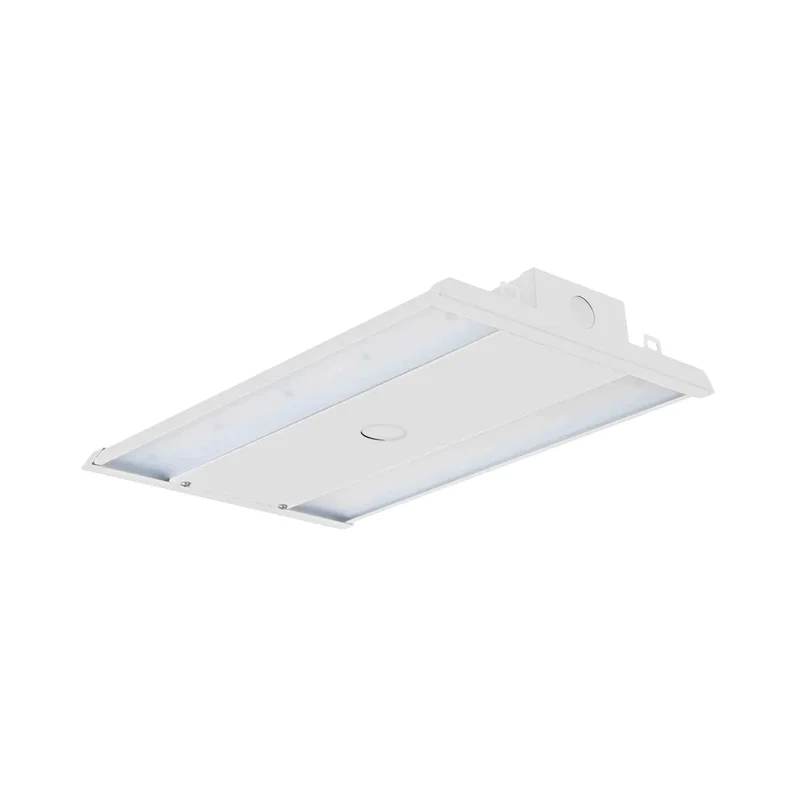 beeslighting12455786
