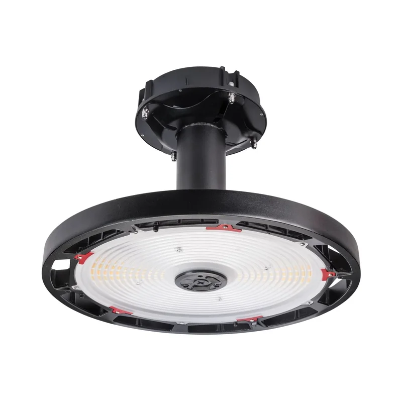beeslighting12455799