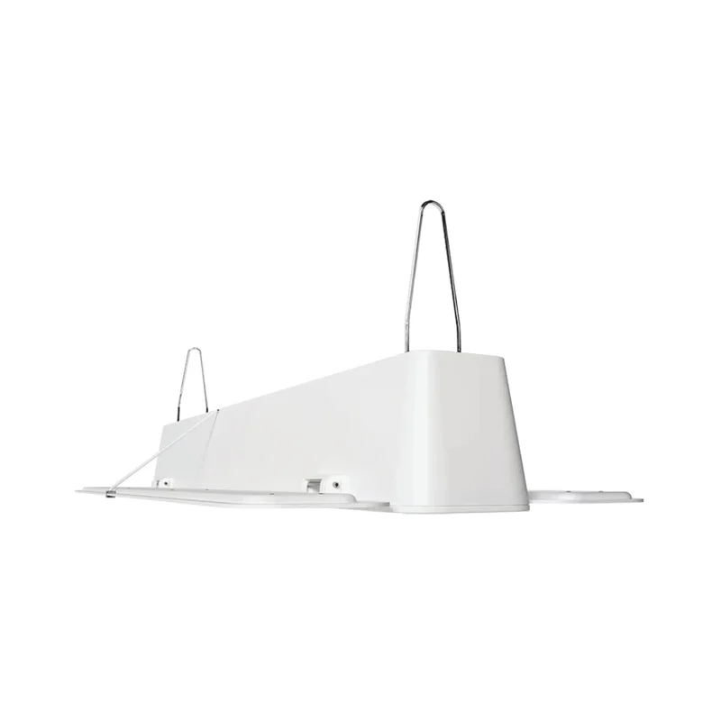 beeslighting12455915