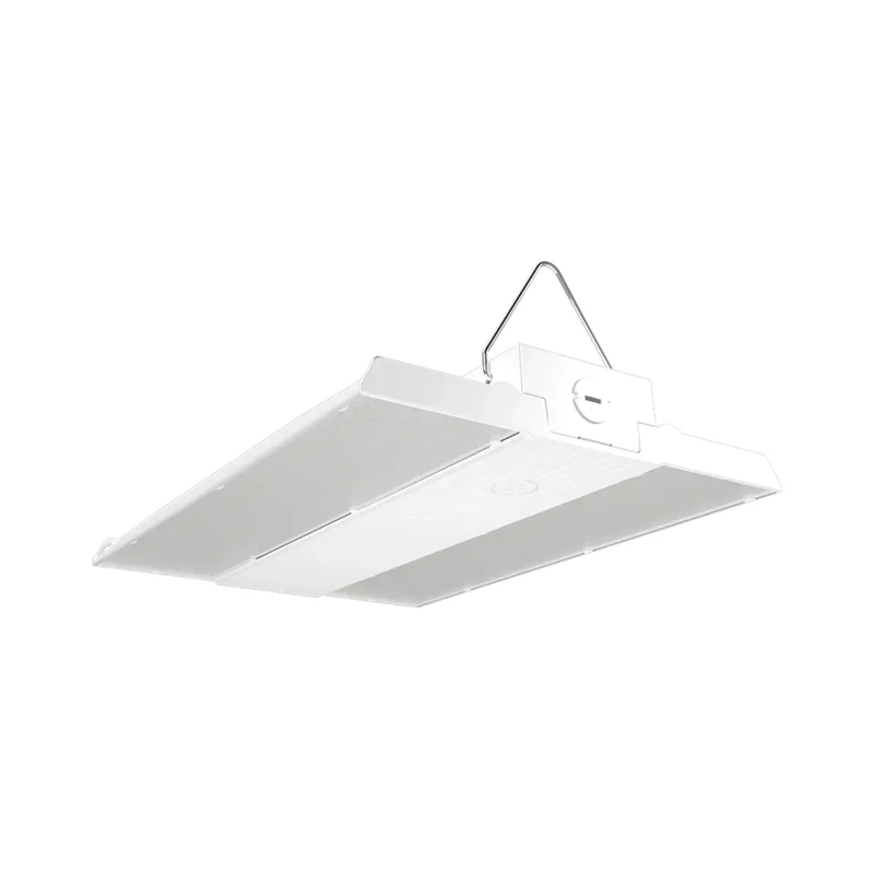 beeslighting12455927