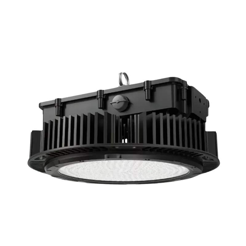 beeslighting12456049
