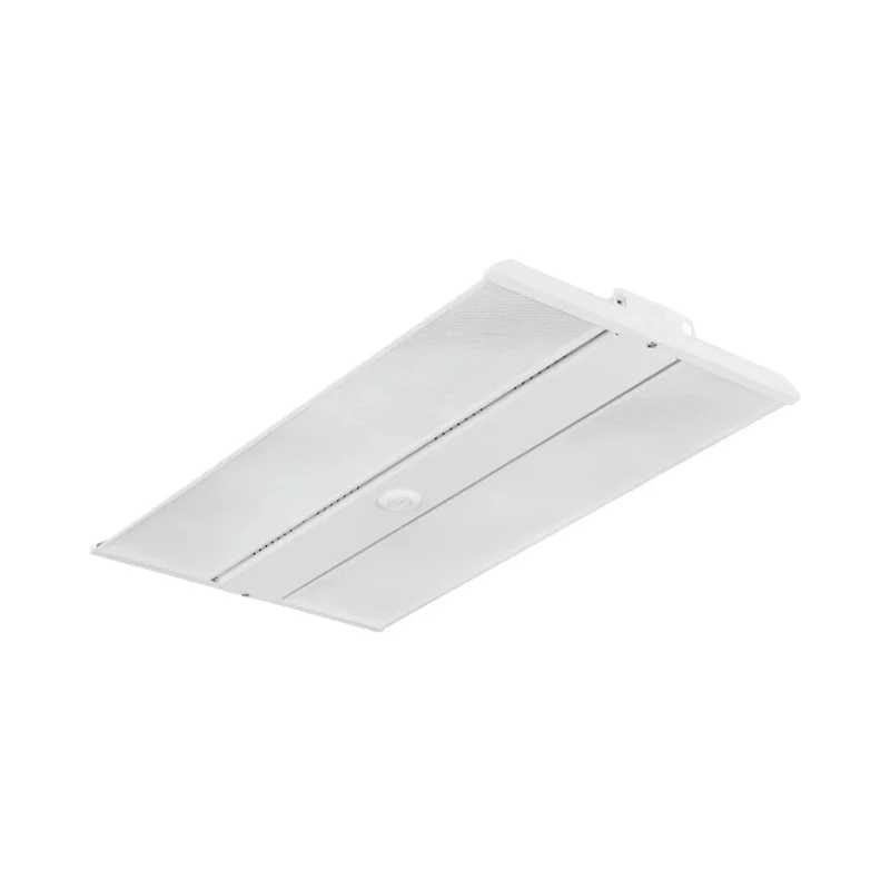beeslighting12456243