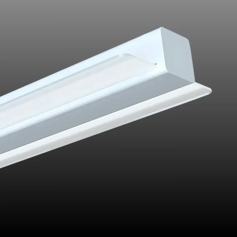 beeslighting12456444