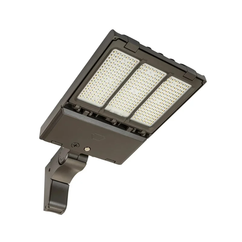 beeslighting12456536