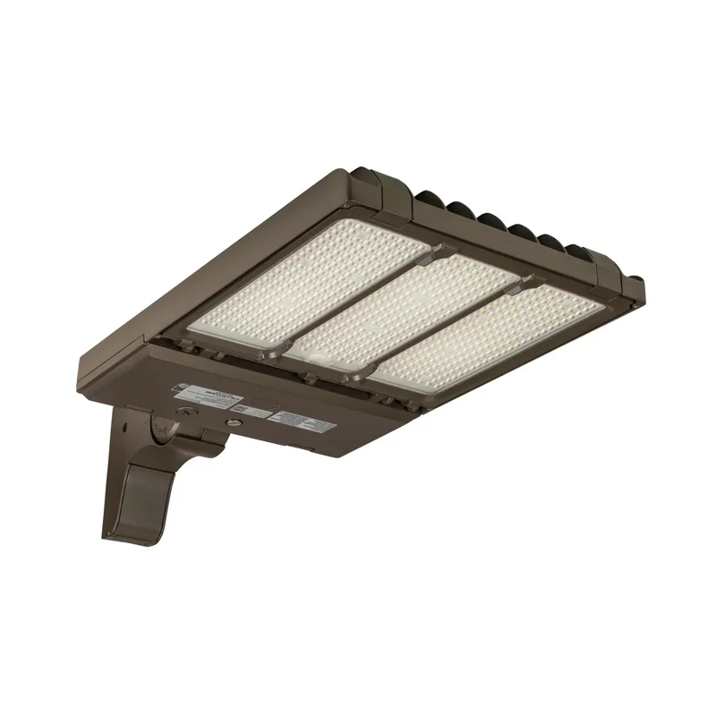 beeslighting12456634
