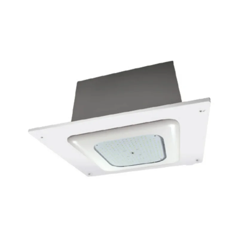 beeslighting12456668