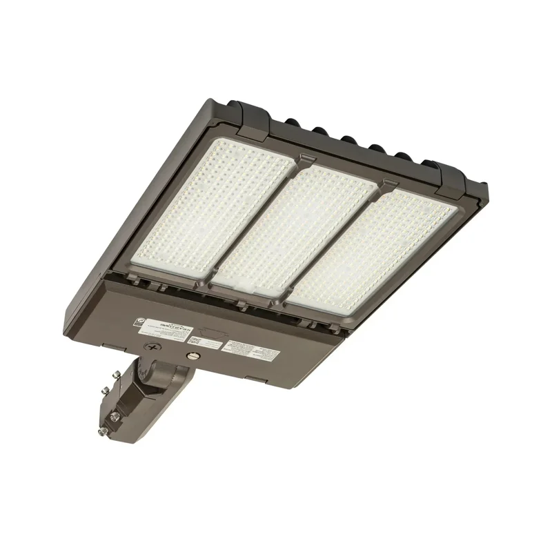 beeslighting12456690