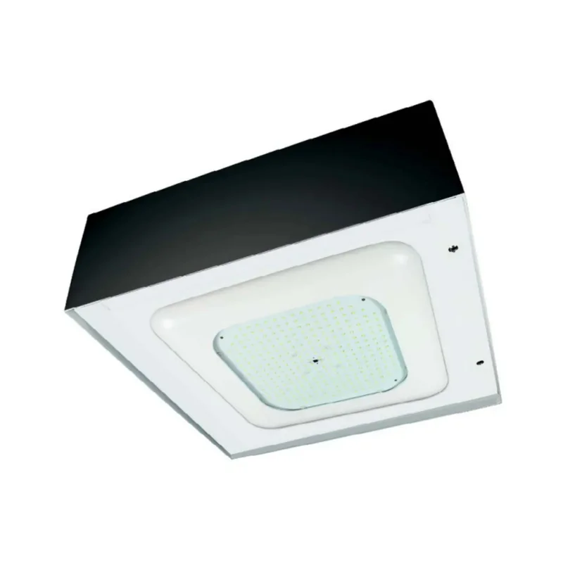 beeslighting12456757
