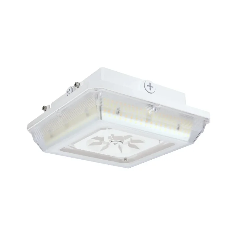beeslighting12457115