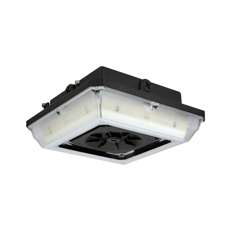 beeslighting12457124