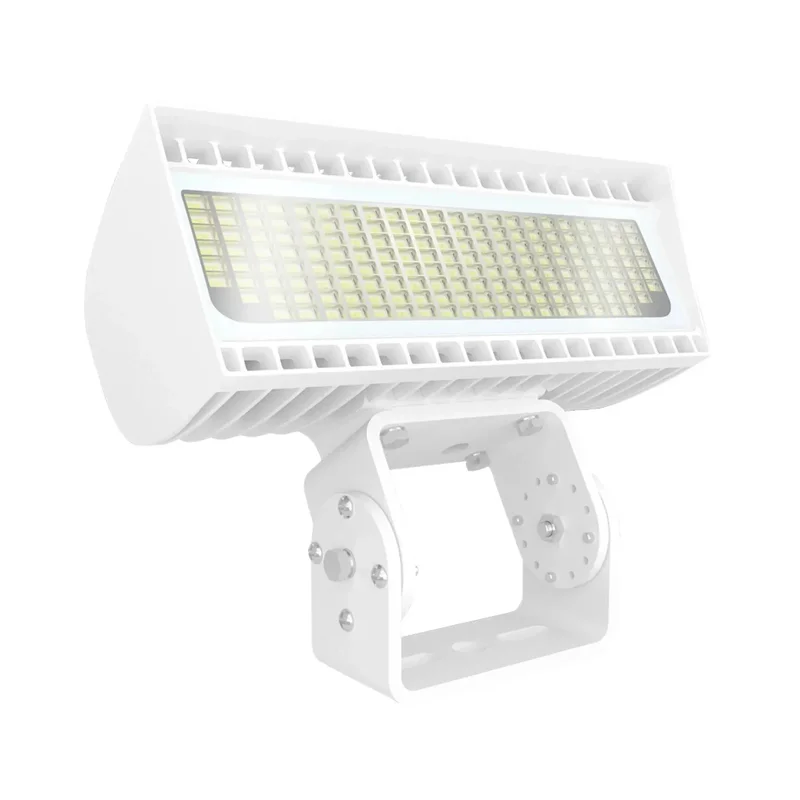 beeslighting12457509