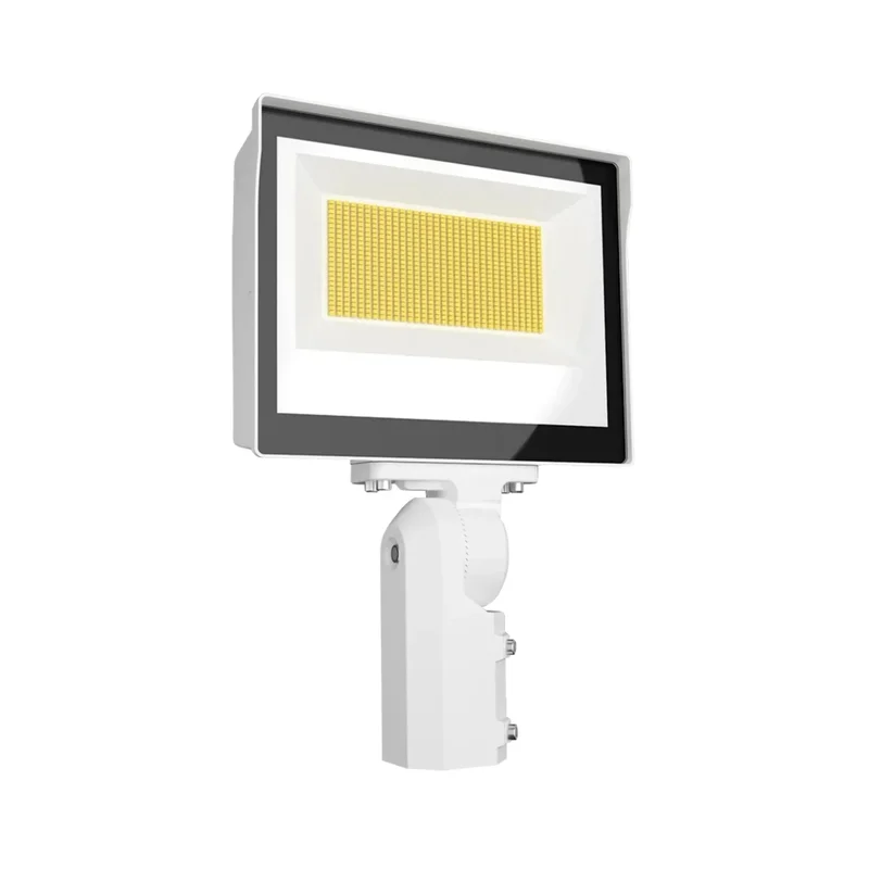 beeslighting12457795