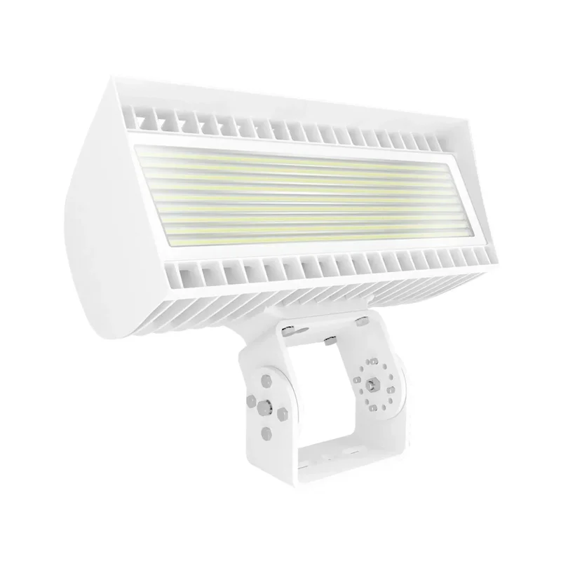 beeslighting12457936