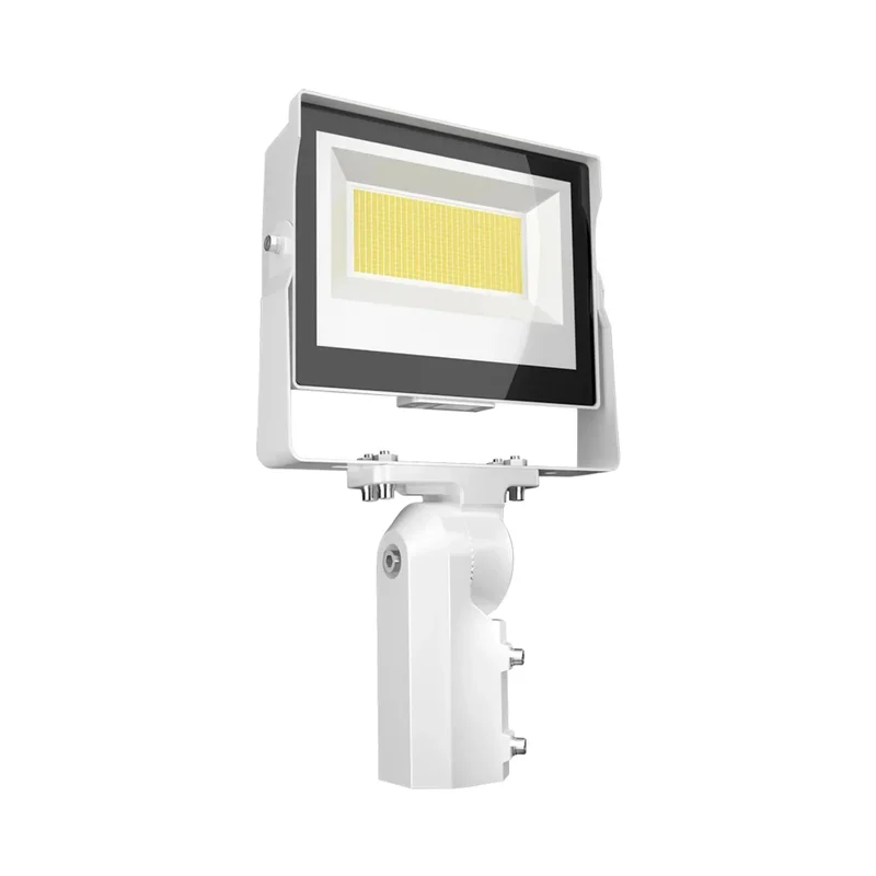 beeslighting12458168