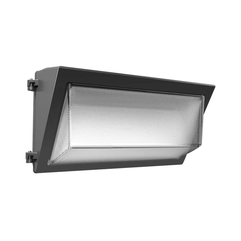 beeslighting12458461