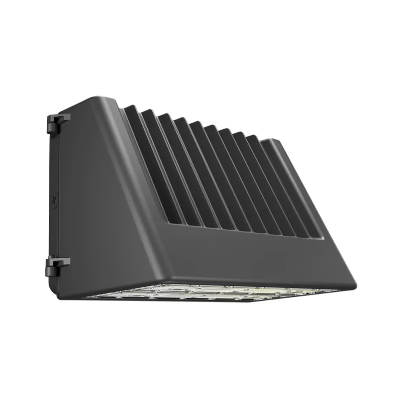 beeslighting12458537