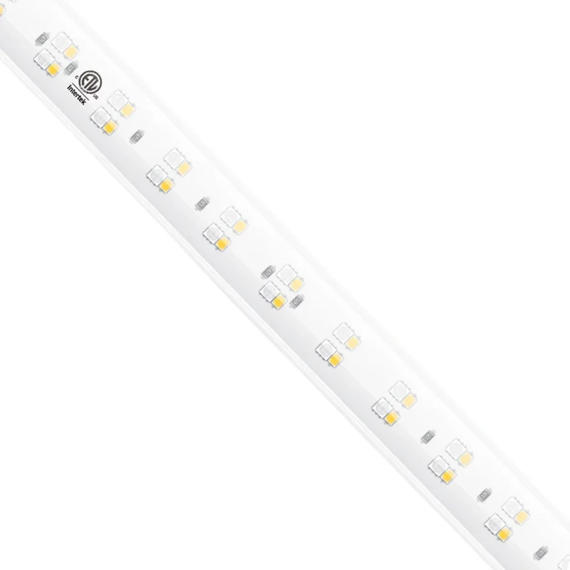 beeslighting12458626