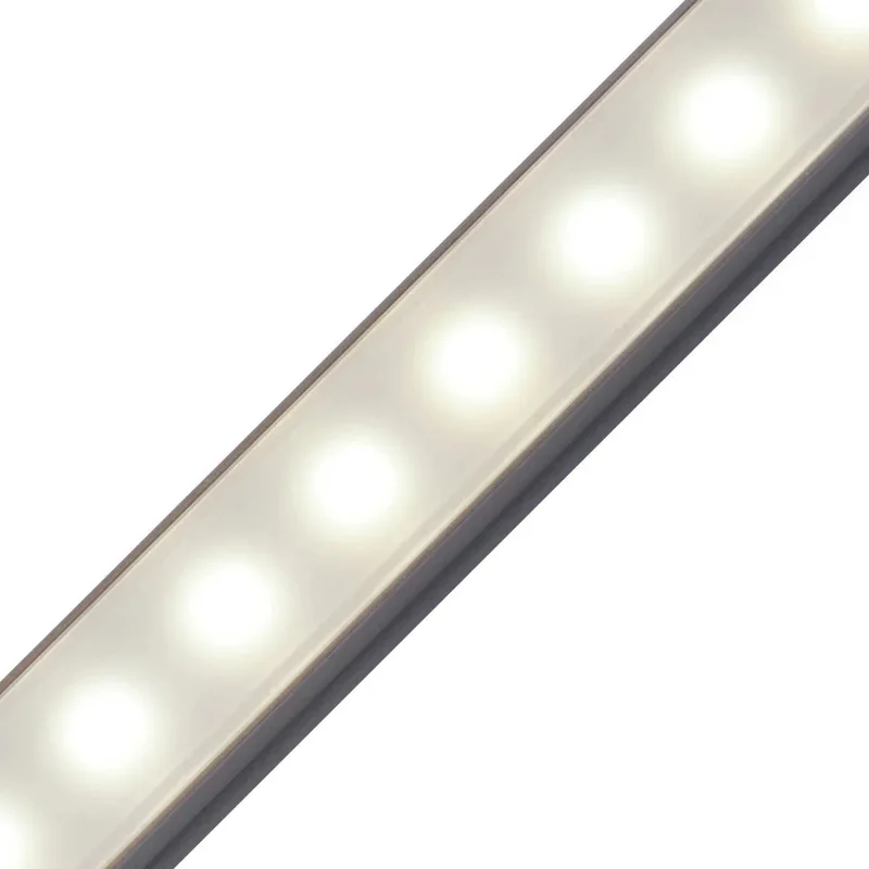 beeslighting12460368