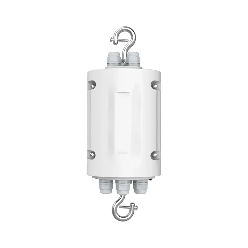 beeslighting12462611