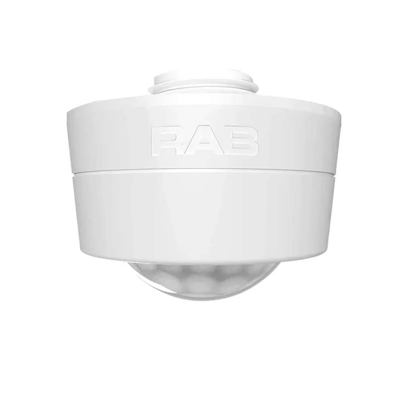 beeslighting12463723