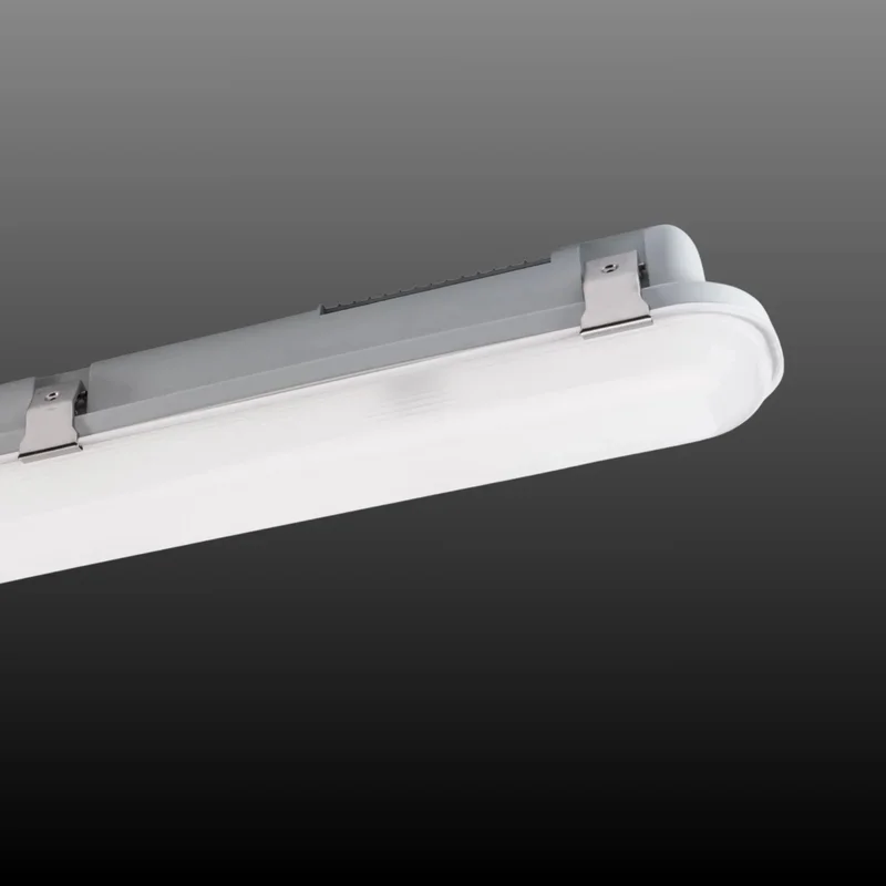 beeslighting12464837