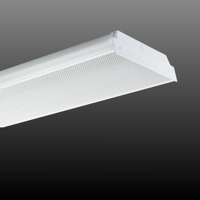 beeslighting12464867