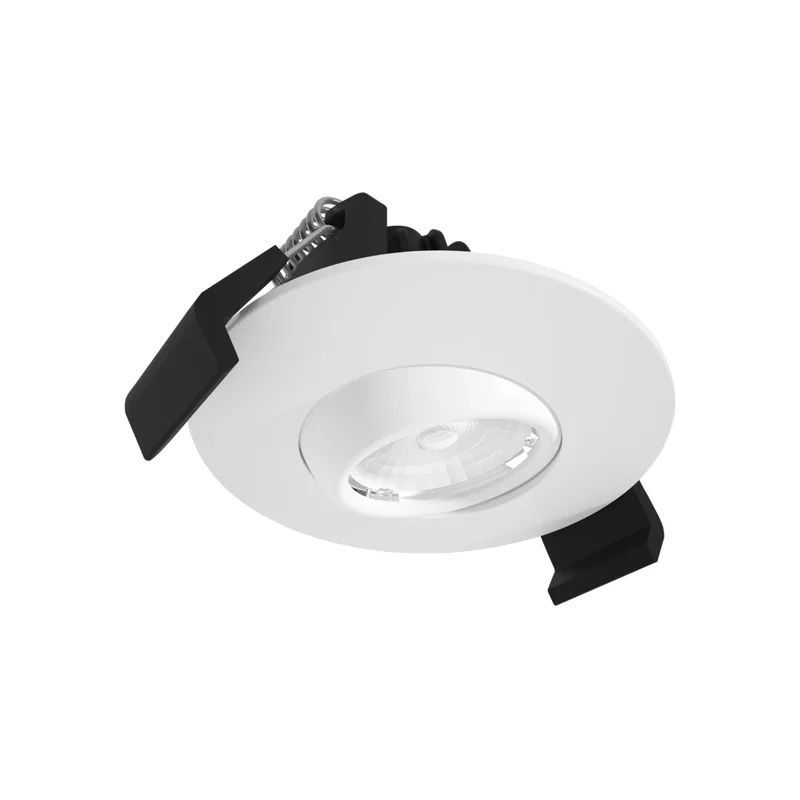 beeslighting12465583