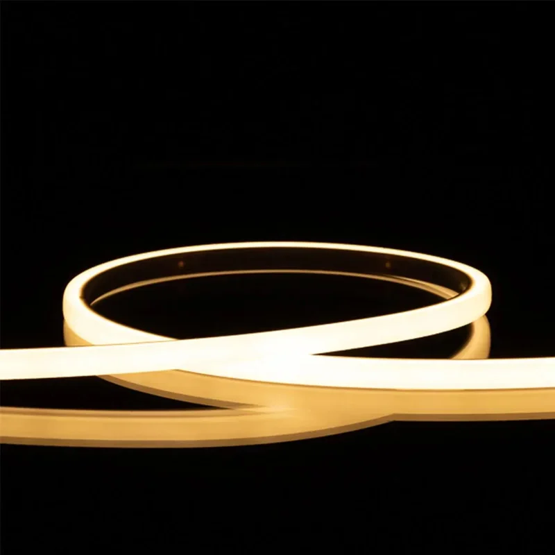 beeslighting12465792