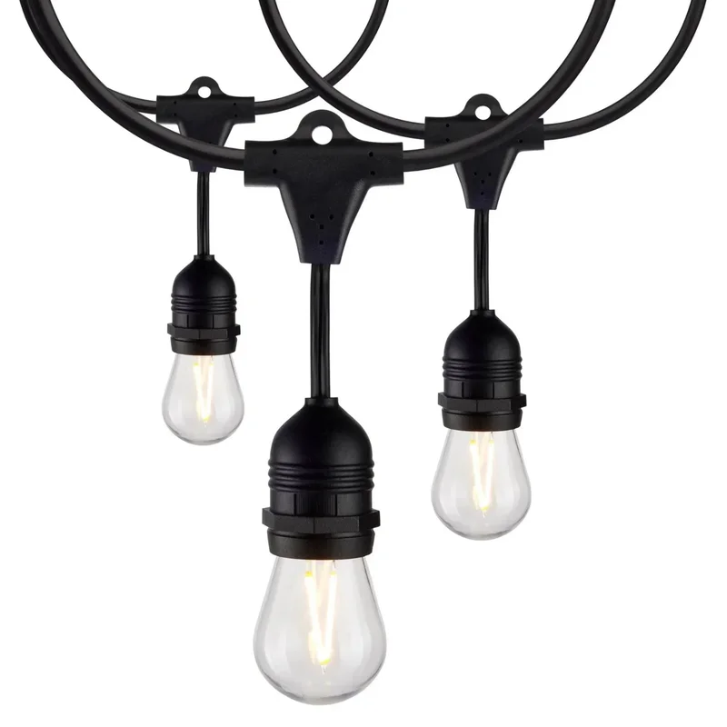 beeslighting12465891