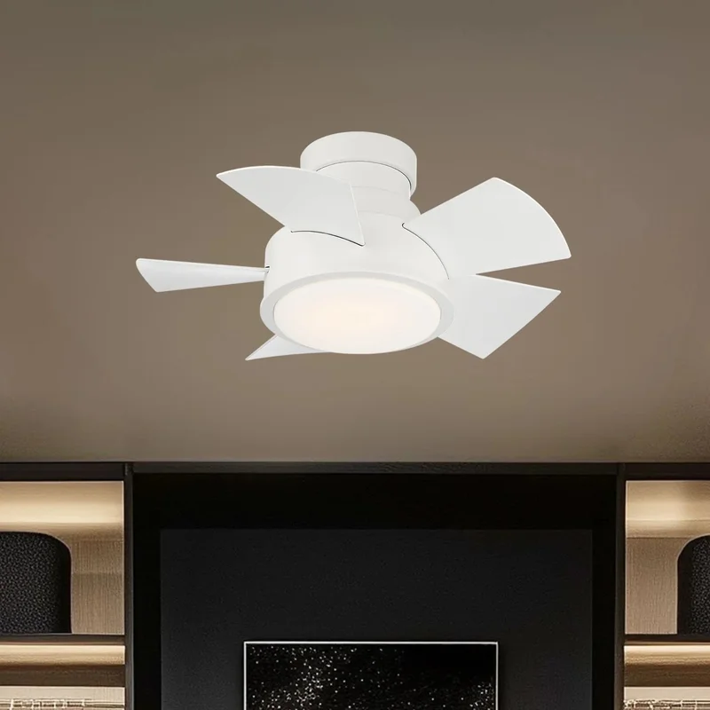 beeslighting12466131