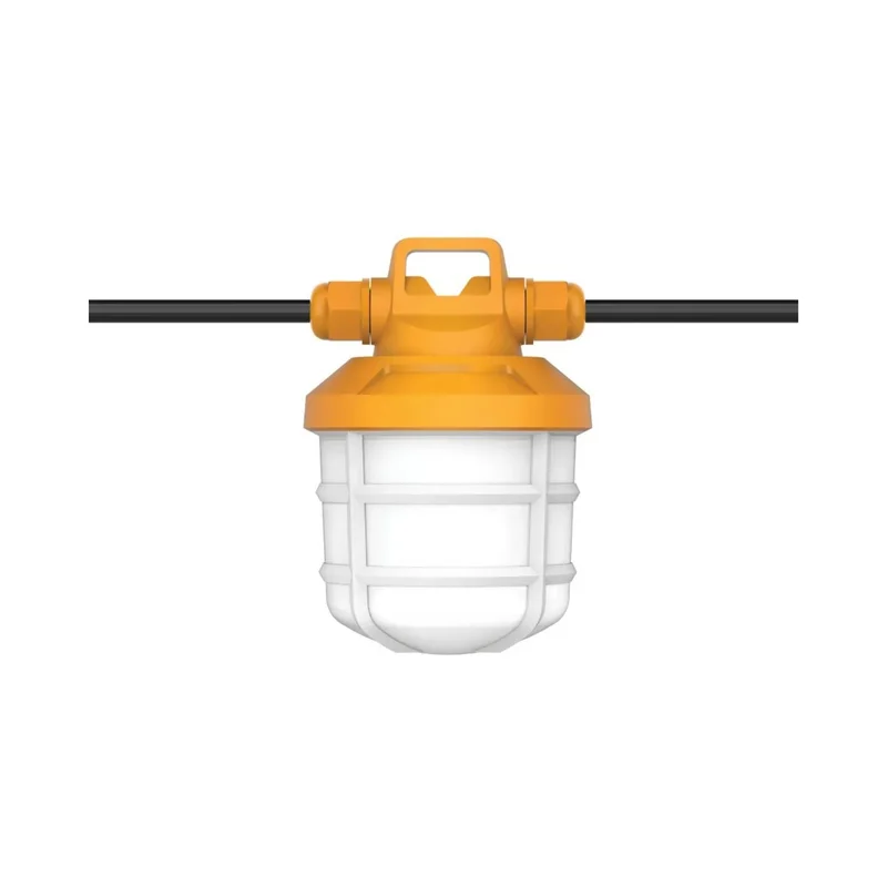 beeslighting12466384