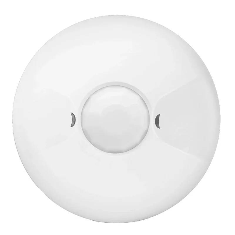 beeslighting12468088