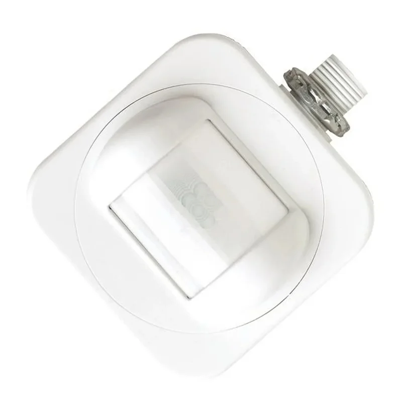 beeslighting12468230