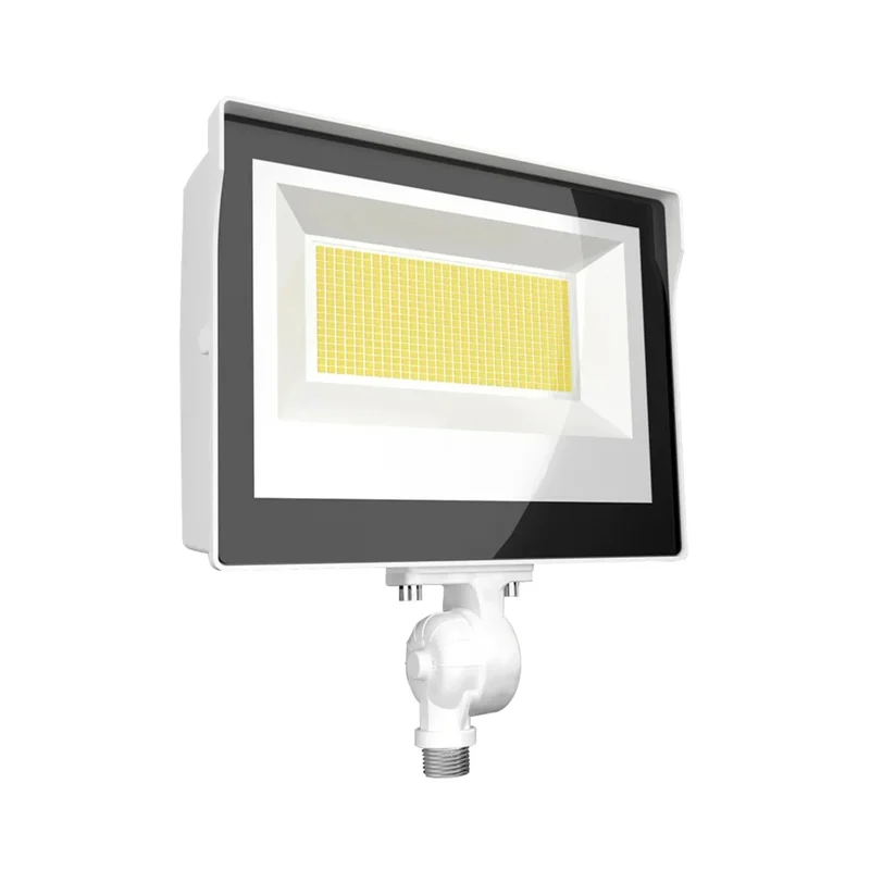 beeslighting12528449