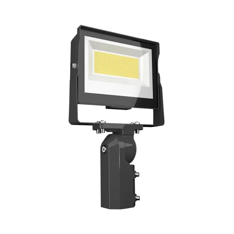 beeslighting12528883