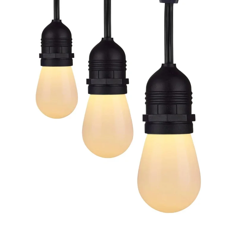 beeslighting12529311