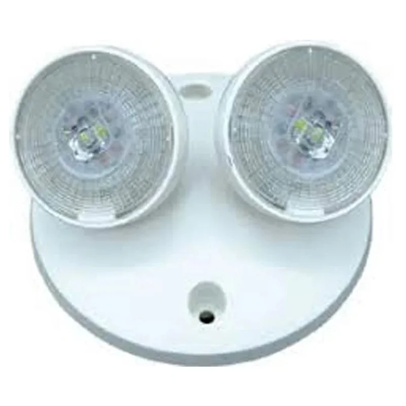 beeslighting12535072