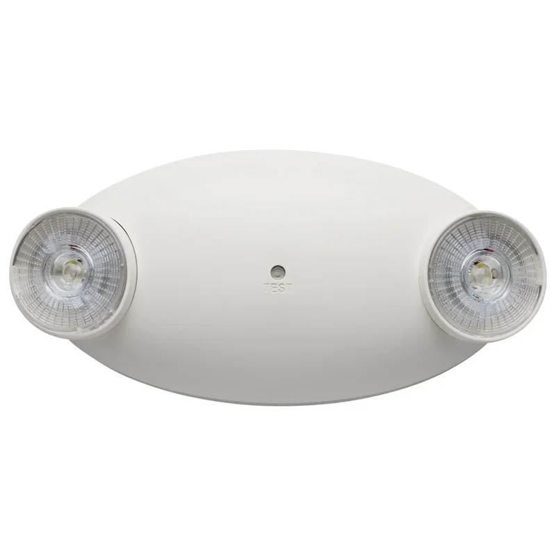 beeslighting12535138